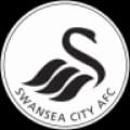 Swansea City