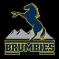 Brumbies